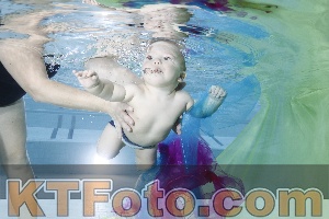 Photo 4301684