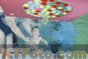 Photo 4301738