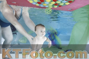 Photo 4301740