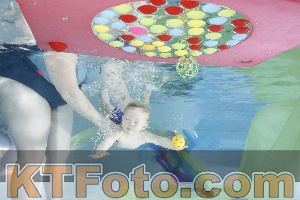 Photo 4301742