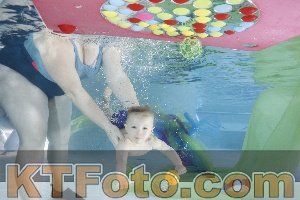 Photo 4301743