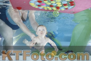 Photo 4301744