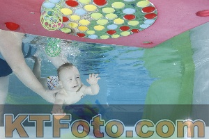 Photo 4301746
