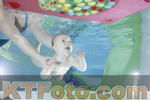 Photo 4301748