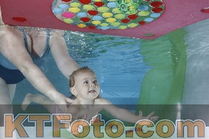 Photo 4301752