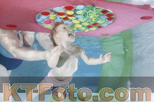 Photo 4301753