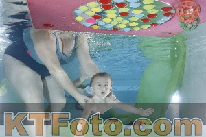 Photo 4301755