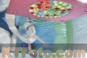 Photo 4301757