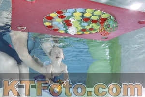 Photo 4301761