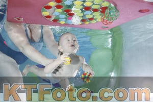 Photo 4301763