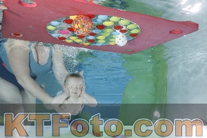 Photo 4301764