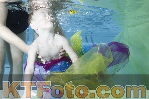 Photo 4301789