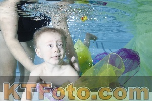 Photo 4301790