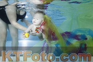 Photo 4301792