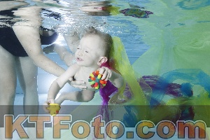 Photo 4301793