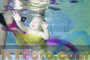 Photo 4301795
