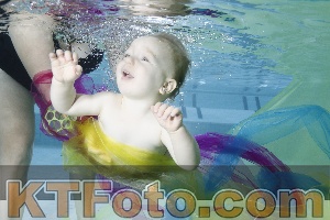 Photo 4301796