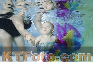 Photo 4301803