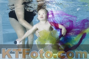 Photo 4301805