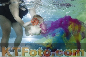Photo 4301810