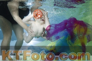 Photo 4301811