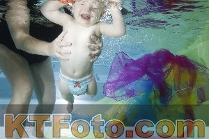 Photo 4301812