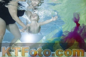 Photo 4301813