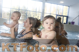Photo 4301833