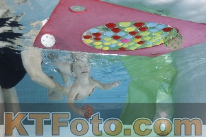 Photo 4301856