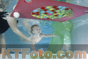 Photo 4301857