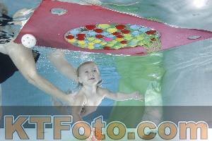 Photo 4301858