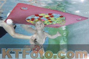 Photo 4301859