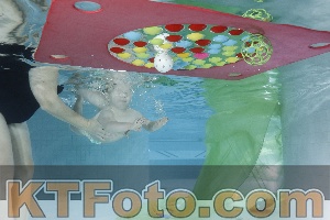 Photo 4301860