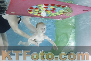 Photo 4301862