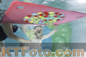 Foto 4301865