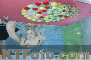 Foto 4301870