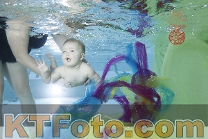 Foto 4301900