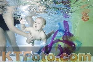 Foto 4301901