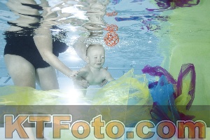 Foto 4301902