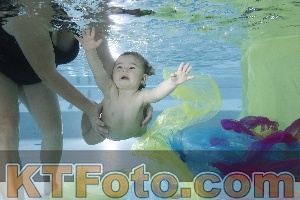 Foto 4301908