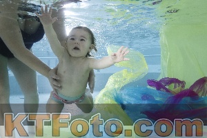 Foto 4301909
