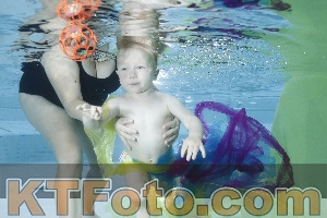 Photo 4301913