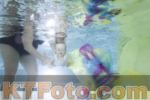 Photo 4301914