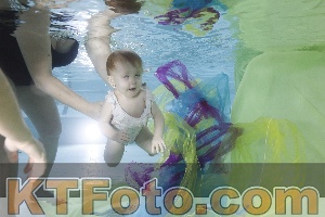 Photo 4301917