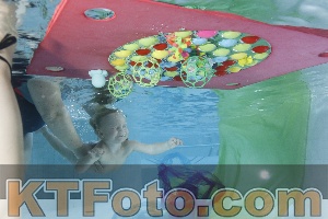 Foto 4301965