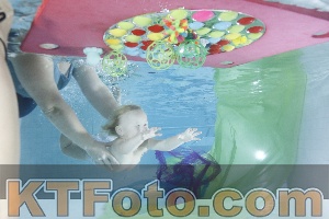 Foto 4301966