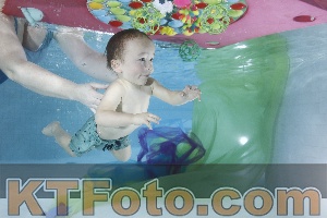 Foto 4301972