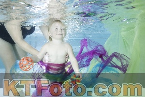 Foto 4301998