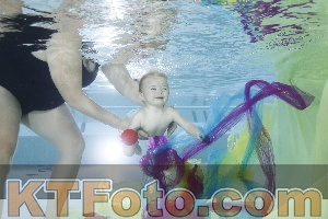 Foto 4302004