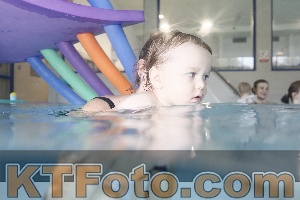 Photo 4302047